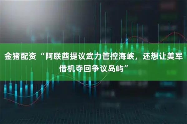金猪配资 “阿联酋提议武力管控海峡，还想让美军借机夺回争议岛屿”
